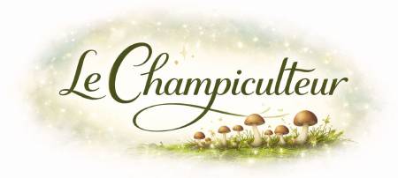 Le Champiculteur : champignons adaptogènes Chaga, Lion’s Mane, Cordyceps et Reishi